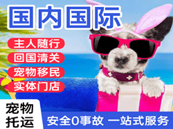 保山云瑞空运地址国际宠物托运 【国